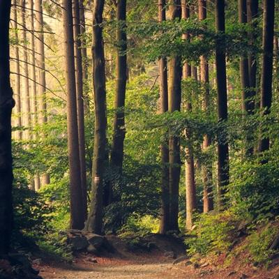 万博手机版max网页版(中国)官方网站app下载